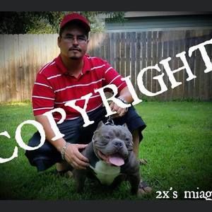 Meet your Posher, Ben